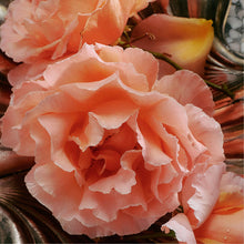 Load image into Gallery viewer, Jasmine Damask Soap Brick - Flamingo Estate