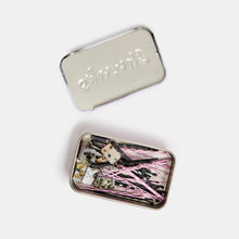 Load image into Gallery viewer, Kitty Bobby Pins - Chunks